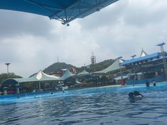 -杭州浪浪浪水公园