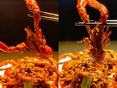 麻辣极品小青龙-虾胡闹·澳洲小龙虾·烧烤(福田鲨鱼店)