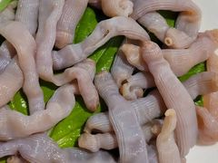 -凯华海鲜火锅·传承三十六年
