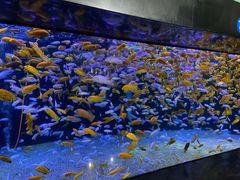 -成都浩海立方海洋公园