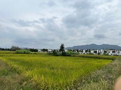 -东梓关景区村庄