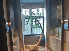 -大拙里·精致融合菜(沙湖桃源国际店)