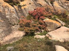 -克什克腾世界地质公园青山景区