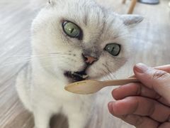 -小时光咖啡馆(北锣鼓巷店)