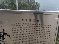 -大金鹰园