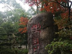 -南山植物园