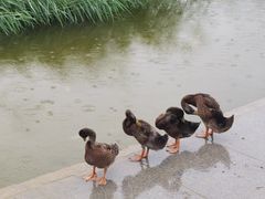 -太阳宫公园