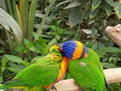 -南宫五洲植物乐园