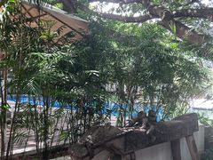-喜洲吧·江畔老船厂·庭院餐厅(喜临院店)