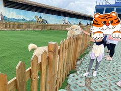 -石棉县孟获城