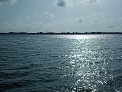 -丁香湖公园