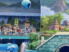 -海合安成都极地海洋公园