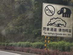 -野象谷景区