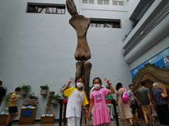 -自贡恐龙博物馆