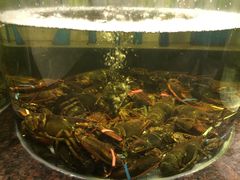 环境-新海利海鲜城·41年珠海老字号(夏湾店)