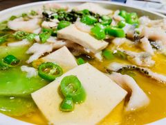 藤椒煮嫩滑鱼片-小大董·烤鸭(凤凰汇店)