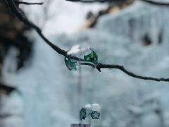 -黑龙潭风景区