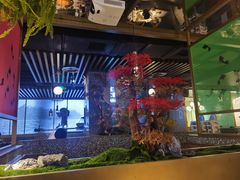大堂-鲜潭蒸汽石锅鱼(五道口购物中心店)