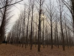 -汉景帝阳陵博物院
