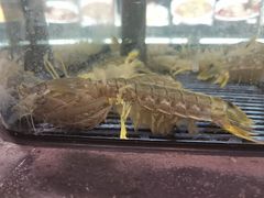 -小厨师·二十年沈家门小海鲜(百井坊巷店)
