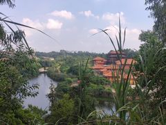 -三水森林公园
