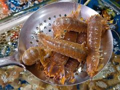 -粤盛海鲜平价店(洛溪食街店)