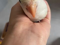 -美联众合动物医院·24h转诊中心