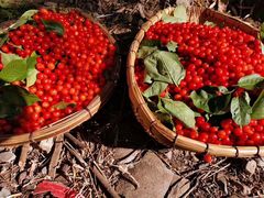 -樱桃山旅游景区