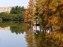 -番禺大夫山森林公园