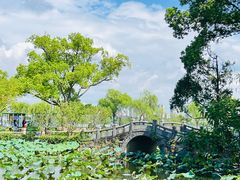 -无锡蠡湖国家湿地公园-蠡园