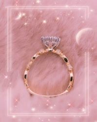 -金夫人婚纱摄影(衡阳店)