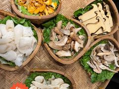 -滇野云南野生菌餐厅(陕西南路店)