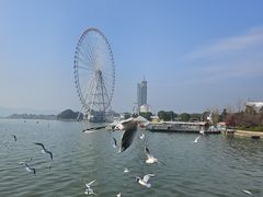 -蠡湖大桥公园