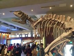 -自贡恐龙博物馆