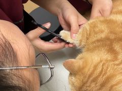 -瑞派康怡24h宠物医院·犬猫医疗中心·微创绝育(瑞景分院)