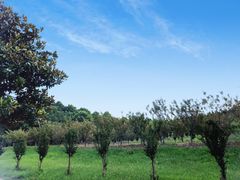 -安庆师范大学(龙山校区)