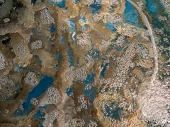 -聚德福海鲜家常菜(刘庄店)