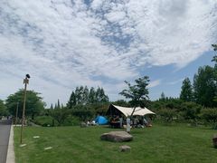 -长田漾湿地公园