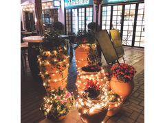 -Madeleine玛德琳(永平里店)