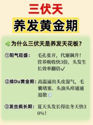 -Bollins波林丝•专研护发中心