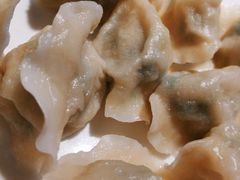-船歌·鱼水饺青岛菜(金狮广场店)
