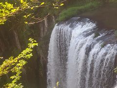 -刘伯温故里景区百丈漈