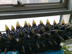 -宫品海参专卖店(静安大宁店)