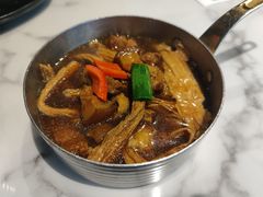-MR鹅外