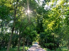-洛阳市隋唐城遗址植物园