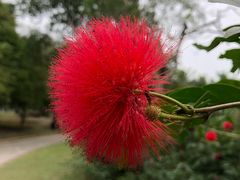 -红色娘子军纪念园