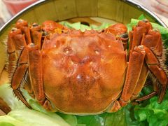 大闸蟹-椿记烧鹅(叠彩店)