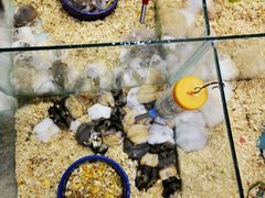 -三旗百汇商品城