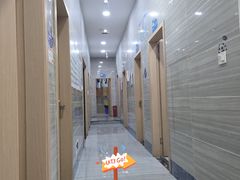-瑞派名望志远动物医院·猫科·內科·异宠专科(直港大道店)
