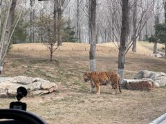 -北京野生动物园